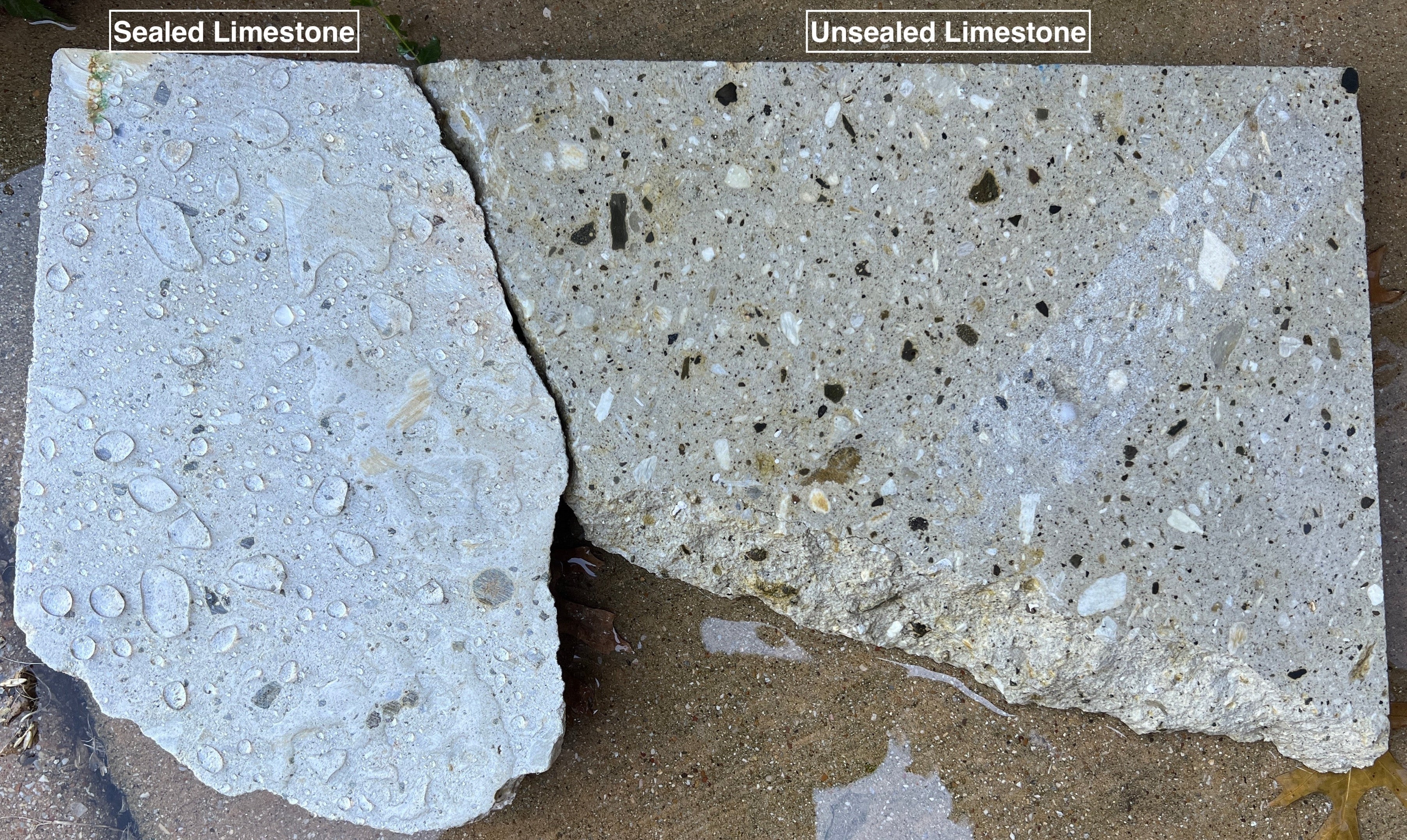 Two slabs of limestone, one sealed and one unsealed, on a concrete surface.